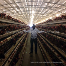 Battery Frame Poultry Chicken Cage for Farm Use